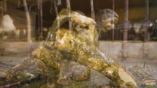 Kaitlyn in manure- Scat