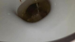 Pretty Asian bitch poopy adventure