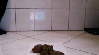 Mommy shitting a nice quantity on the floor