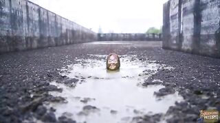 Chubby busty babe smearing shit