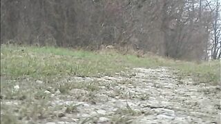 Beautiful outdoor pooper