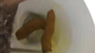 Hairy slut lady pooping compilation