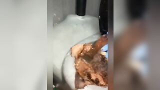 Porta toilet girl licking shit