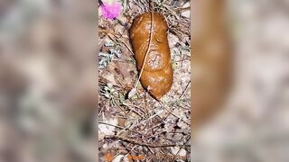 Public festival field shit clsoeup