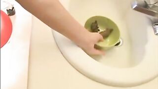 Cute teen girlfriends shit play