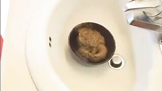 Cute teen girlfriends shit play