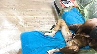 Slut gets scat covered while getting fucked