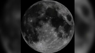 Busty girlfriend smearing shit on her pussy