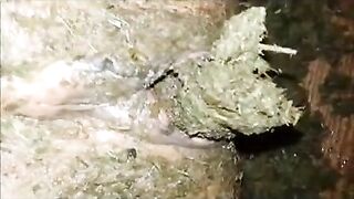 Special shit eating and pussy stuffing play