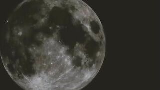 Slutty tattooed milf pussy toying and fingering