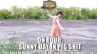 Sunny Day In Pig Shit- Smearing