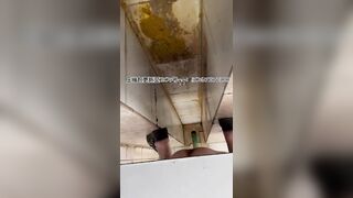 Girl pooped in the toilet