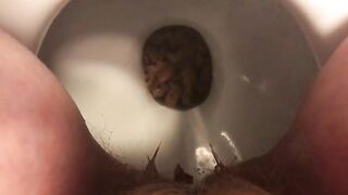 Toilet Poop closeup at home