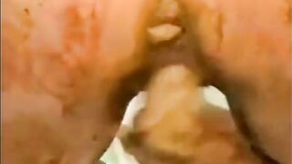 Vintage scat groupsex