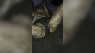 Shit & Smearing Compilation