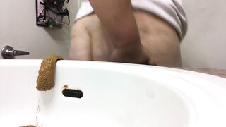 Wet Shit Sliding Into The Sink Bowl