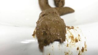 Wet Shit Sliding Into The Sink Bowl