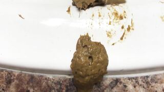 Wet Shit Sliding Into The Sink Bowl