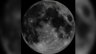 Tattooed gothic wife smearing shit on her sexy ass