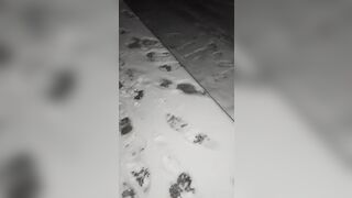 Winter scat flashing show