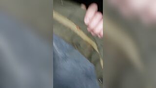 Winter scat flashing show