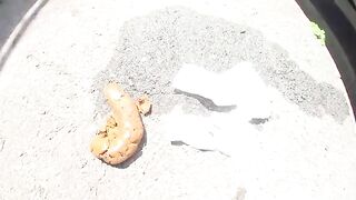 Young Japanese babe pooping in the parking