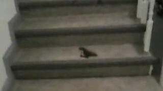 Sexy horny girl dropping yummy shit load on the floor