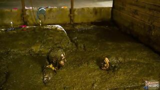 Girls roll around in a pile of shit and piss