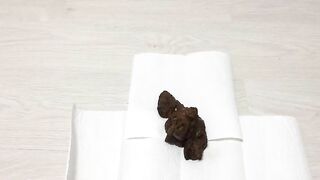 Two anal shits