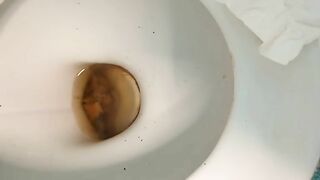 Woman takes a shit on the toilet and leaves it there