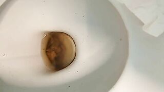 Woman takes a shit on the toilet and leaves it there
