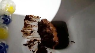 Girl squats down and takes a huge shit in the toilet