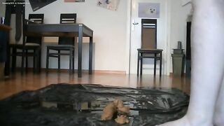 Woman drops a huge shit on the mat and spreads it with her feet