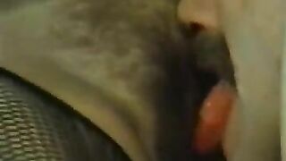 Girl takes a huge shit on a typewriter while another girl licks her ass