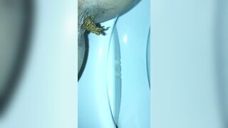 Girl shits in a blue toilet bowl