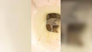 She shits for you