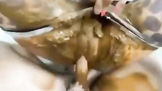 Sophie shits instead of using the toilet over Belo