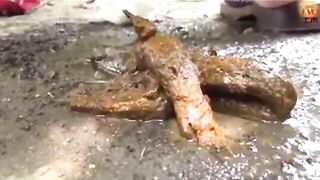 Woman shits on the ground and then steps in it wearing a kimono