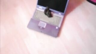 Woman squats on a laptop and takes a dump