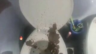 Woman playing with a huge pile of shit on newspaper