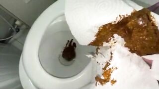 Girl in pink robe takes a dump on the toilet while squatting