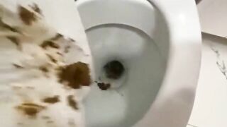 Girl in pink robe takes a dump on the toilet while squatting