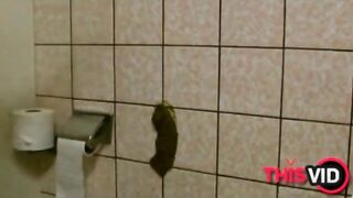 Girl squats and takes a big shit on bathroom wall