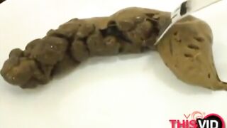 A big log of shit on a white plate ready to be eaten