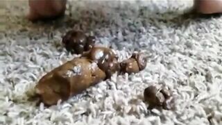 Girl squats to take a shit on the carpet