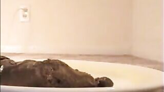 Woman eats shit straight off the plate
