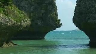 Brunette Japanese babe farting and shitting