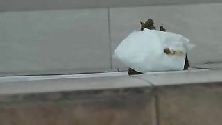 Chinese girl using a public bathroom