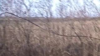 Amateur wife pooping outdoor