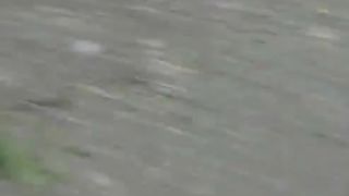 Japanese lady caught pooping outdoor